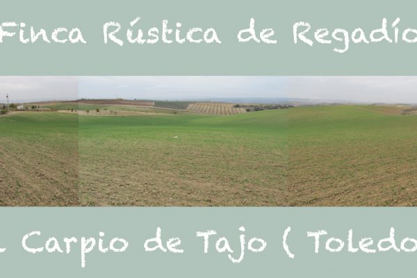 finca rustica en el carpio de tajo